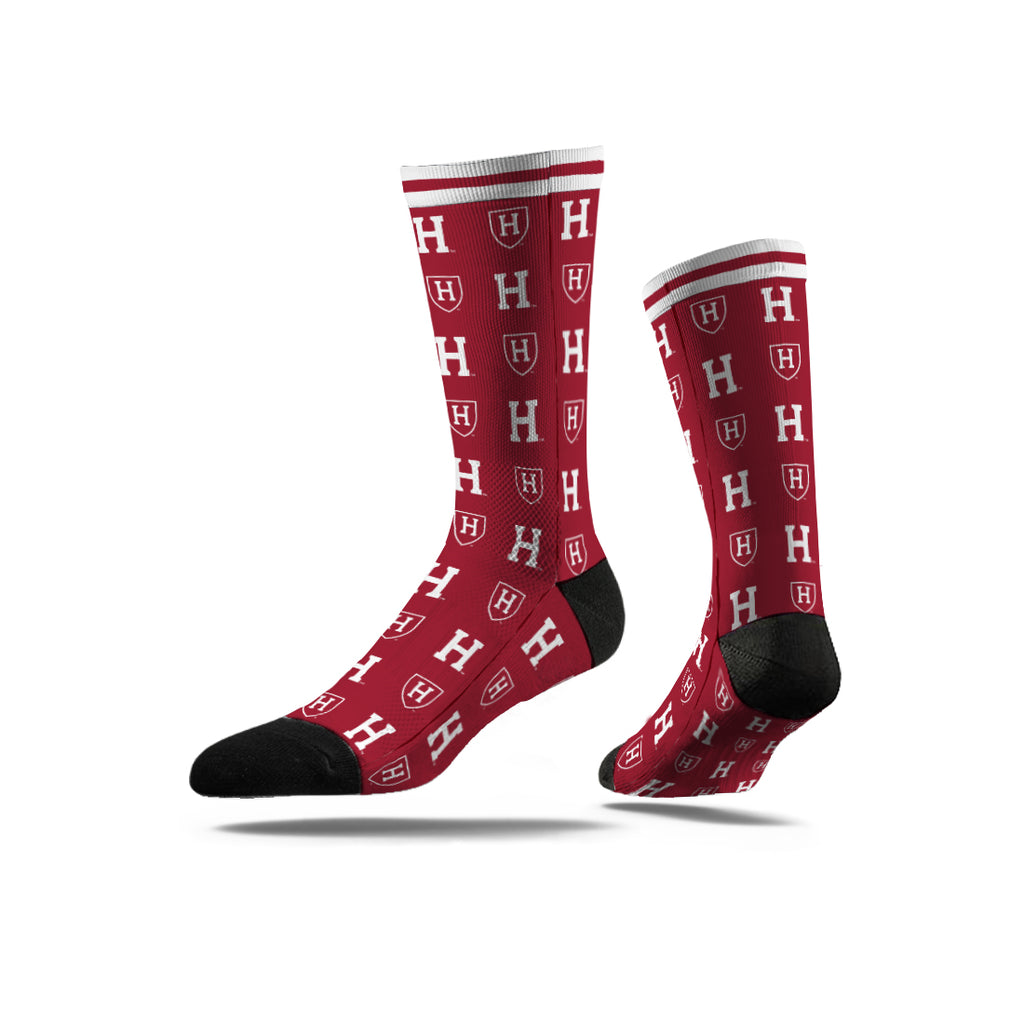 Harvard University | Economy Full Sub | Step and Repeat | N02476704ML