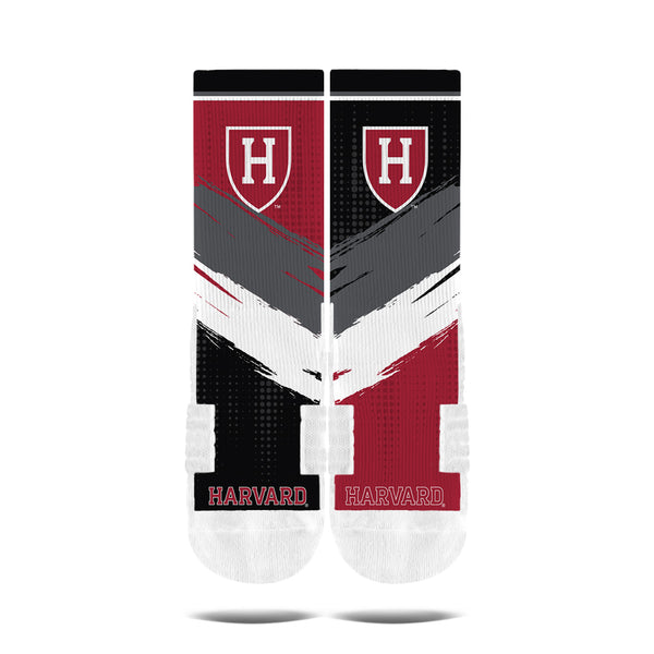 Harvard University | Premium Full Sub | Mix Match | N02475480ML