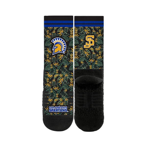 San Jose State University | Premium Full Sub | Fan Flora | N02366307ML