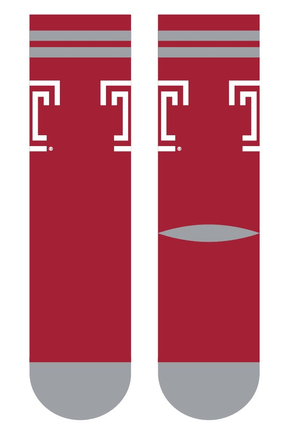 Temple University | Economy Knit Crew | Primary Logo School Color | N02514439ML