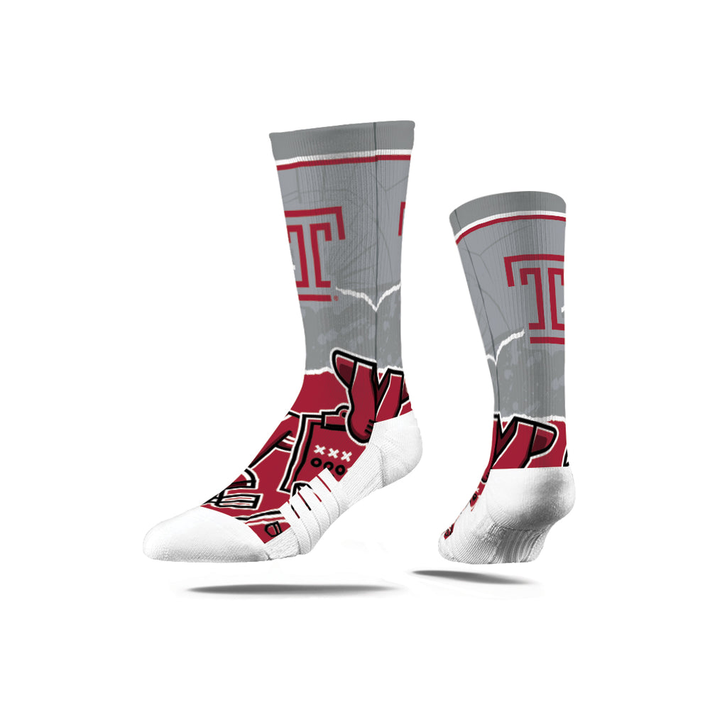 Temple University | Premium Full Sub | Tear Out | N02383794ML