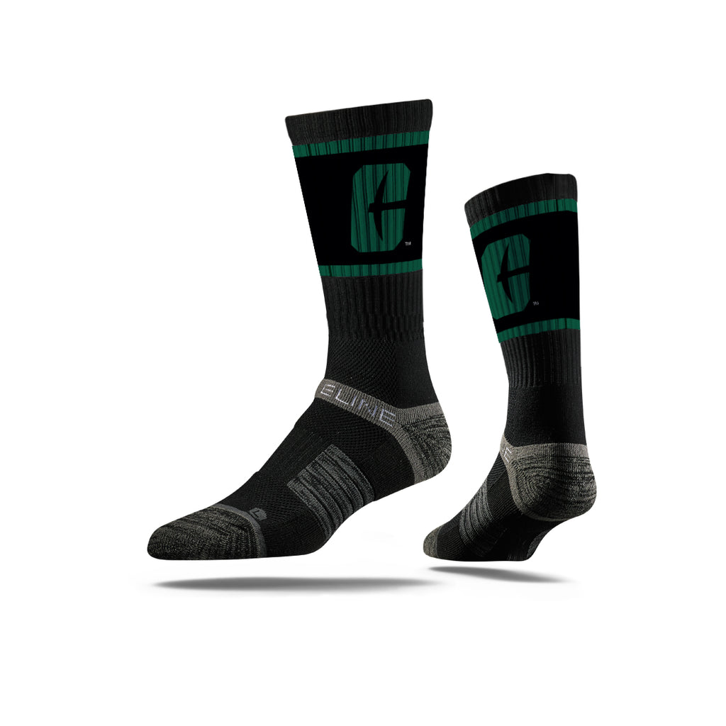 The University of North Carolina at Charlotte | Premium Crew | Primary Logo School Color | N02233715ML