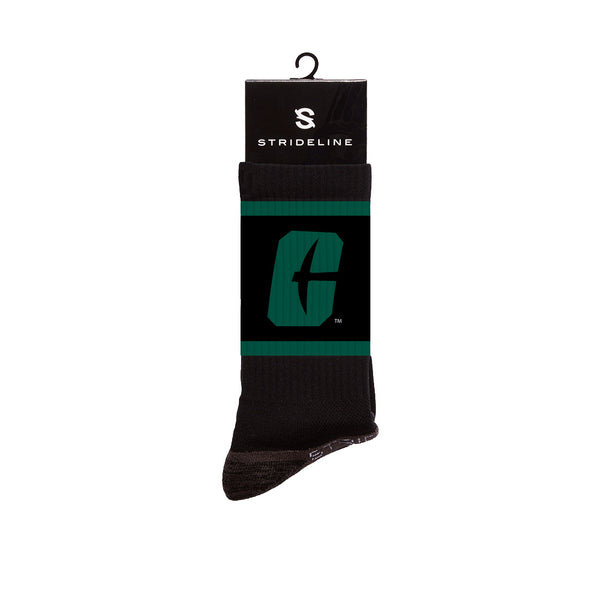 The University of North Carolina at Charlotte | Premium Crew | Primary Logo School Color | N02233715ML