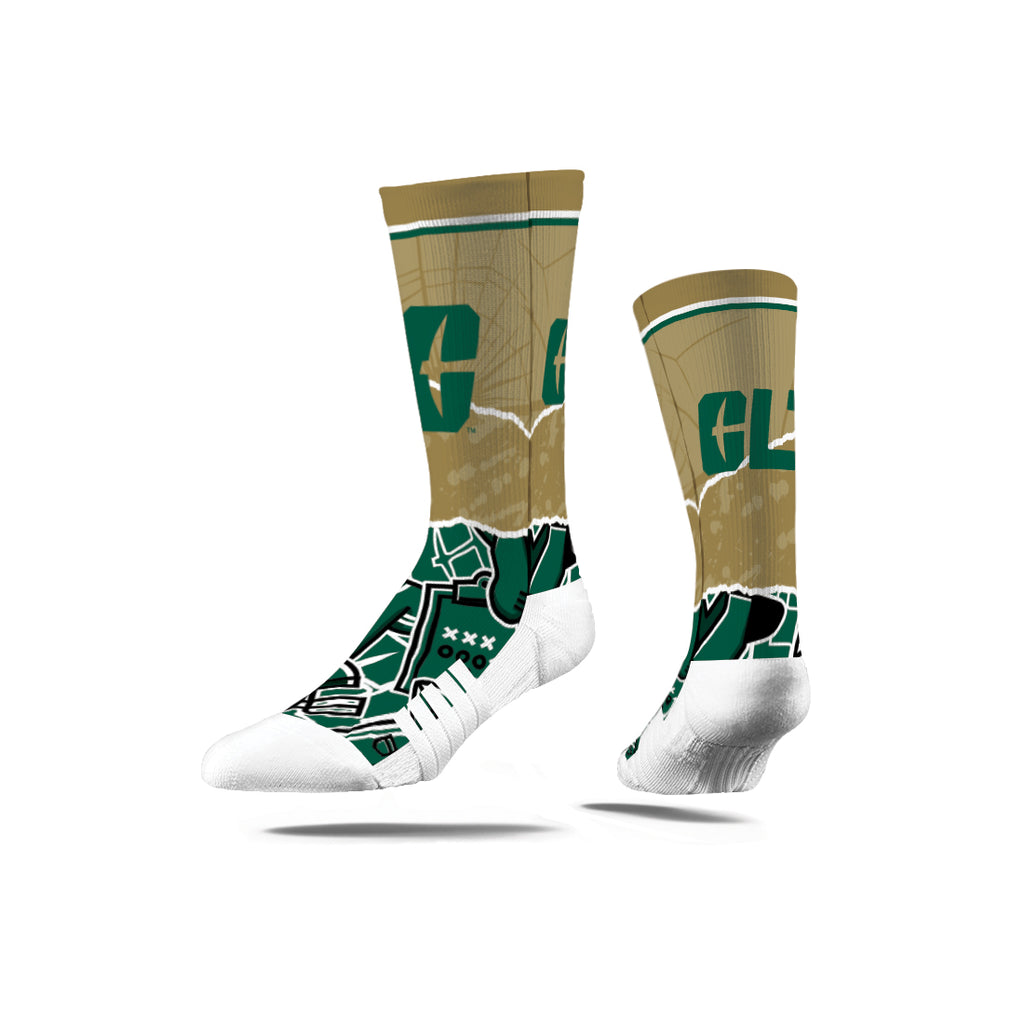 The University of North Carolina at Charlotte | Premium Full Sub | Tear Out | N02383242ML