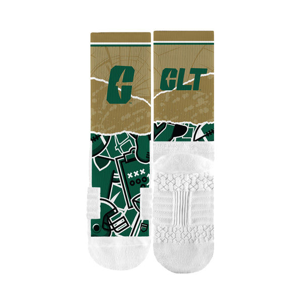 The University of North Carolina at Charlotte | Premium Full Sub | Tear Out | N02383242ML