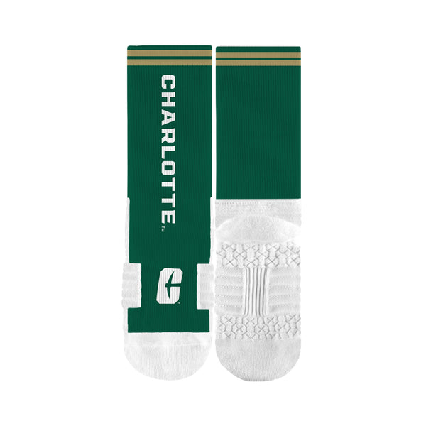 The University of North Carolina at Charlotte | Premium Full Sub | Script | N02416871ML