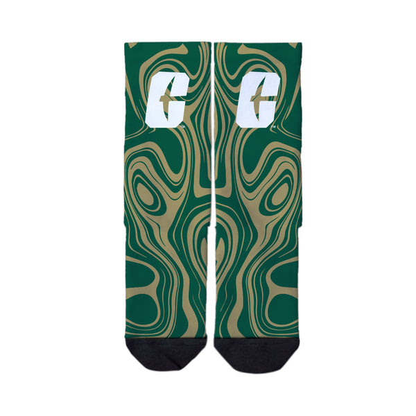 The University of North Carolina at Charlotte | Economy Full Sub | Oil Slick | N02522575ML