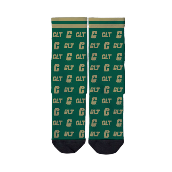 The University of North Carolina at Charlotte | Economy Full Sub | Step and Repeat | N02522591ML