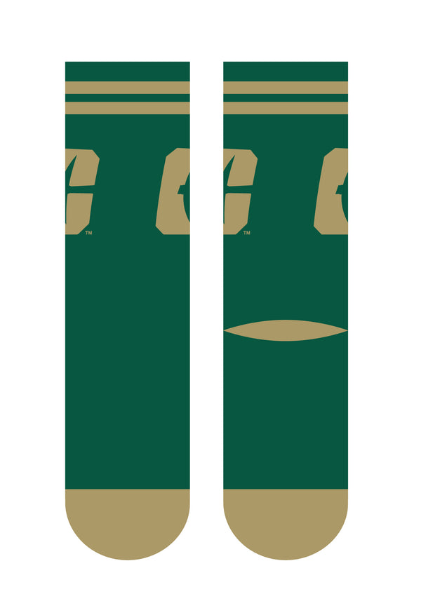 The University of North Carolina at Charlotte | Economy Knit Crew | Primary Logo School Color | N02522583ML