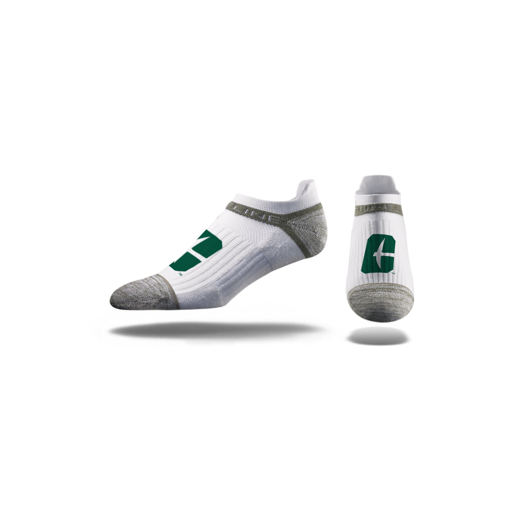 The University of North Carolina at Charlotte | Premium Low | Primary Logo White | N02522587ML